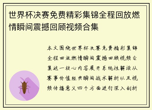 世界杯决赛免费精彩集锦全程回放燃情瞬间震撼回顾视频合集